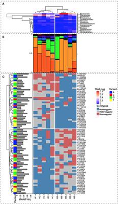 Mucosal Microbiome Profiles Polygenic Irritable Bowel Syndrome in Mestizo Individuals